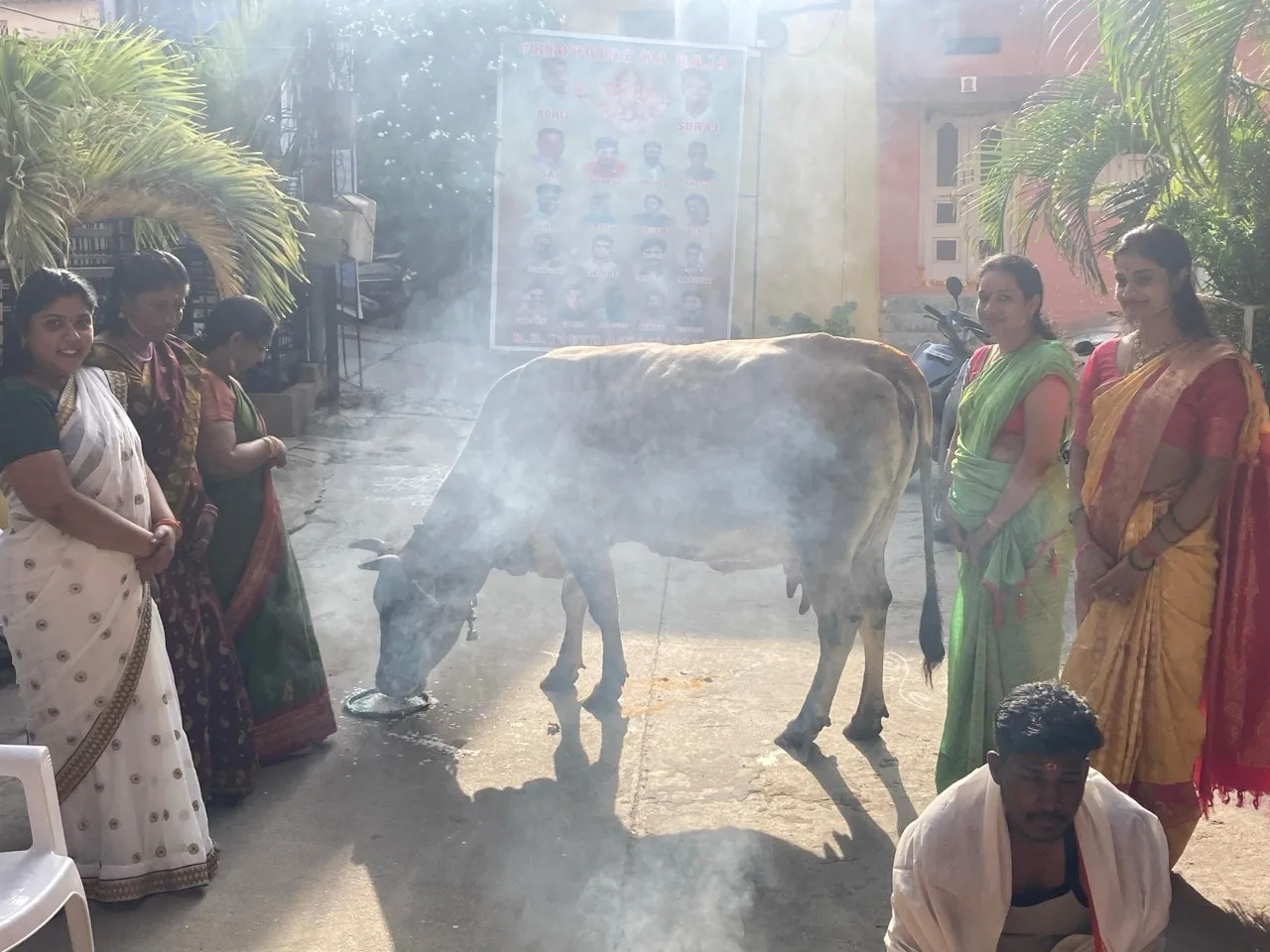 Gau Pooja in the morning light